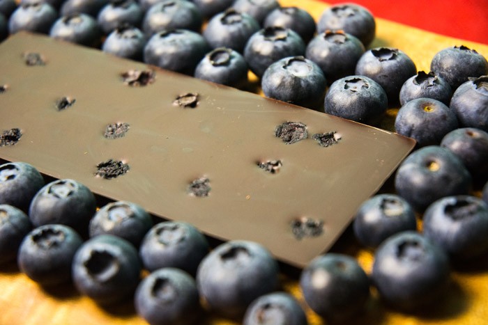 Oregon Blueberry - Stevia Sweetened Chocolate Bar, Vegan, Organic, Zero Sugar